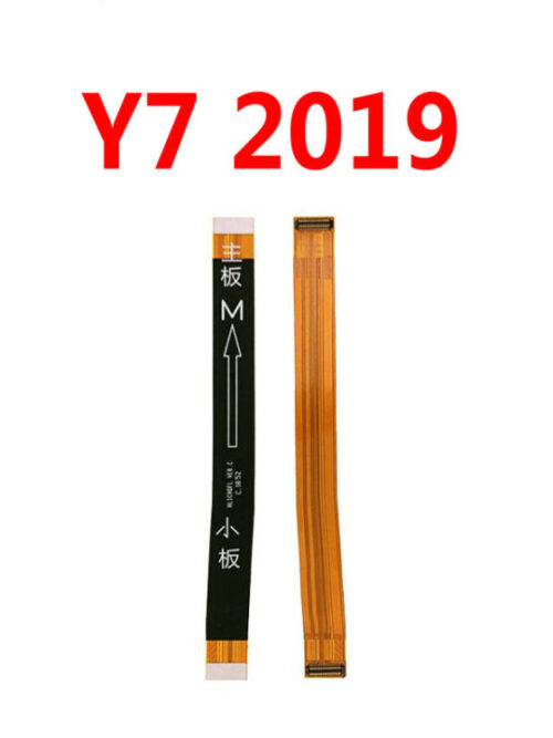 Y7 (19)